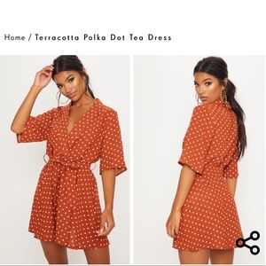 🌸5 FOR $60🌸 PLT terra-cotta polka dot tea dress